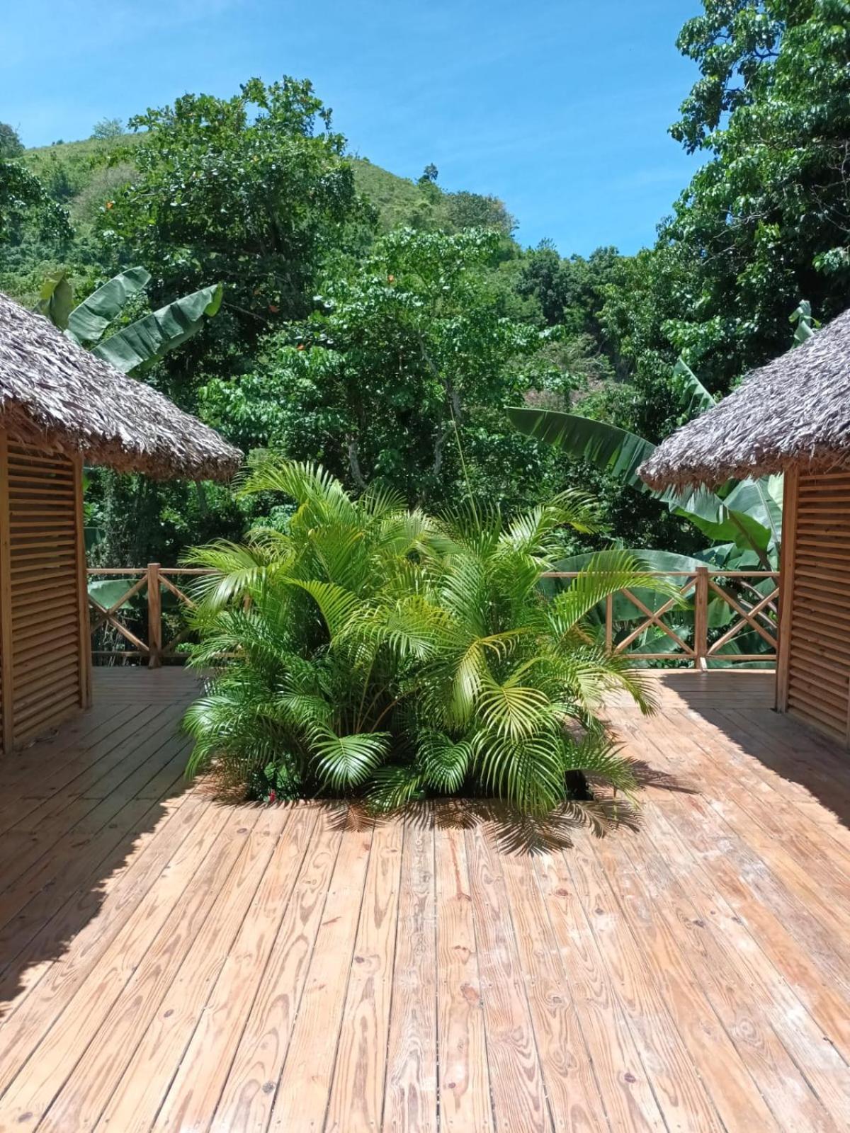 لاس تاريناس Samo Eco Lodge المظهر الخارجي الصورة