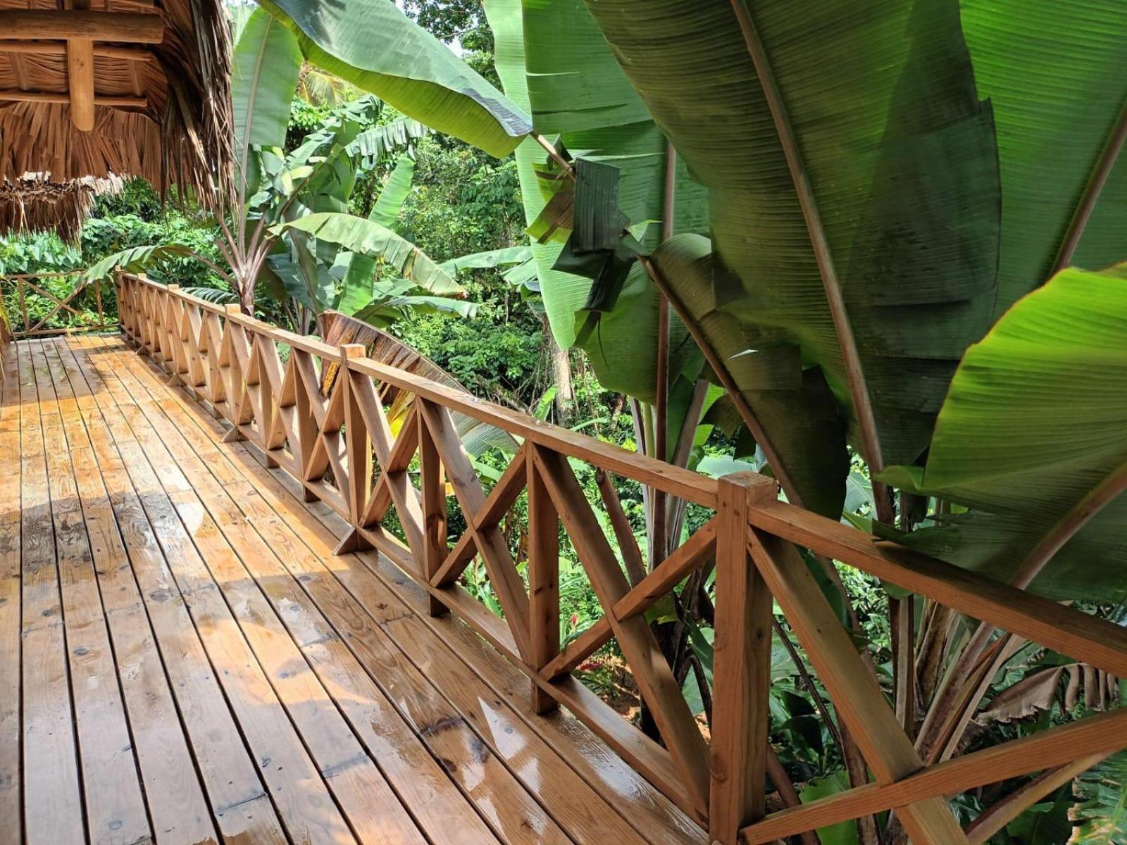 لاس تاريناس Samo Eco Lodge المظهر الخارجي الصورة