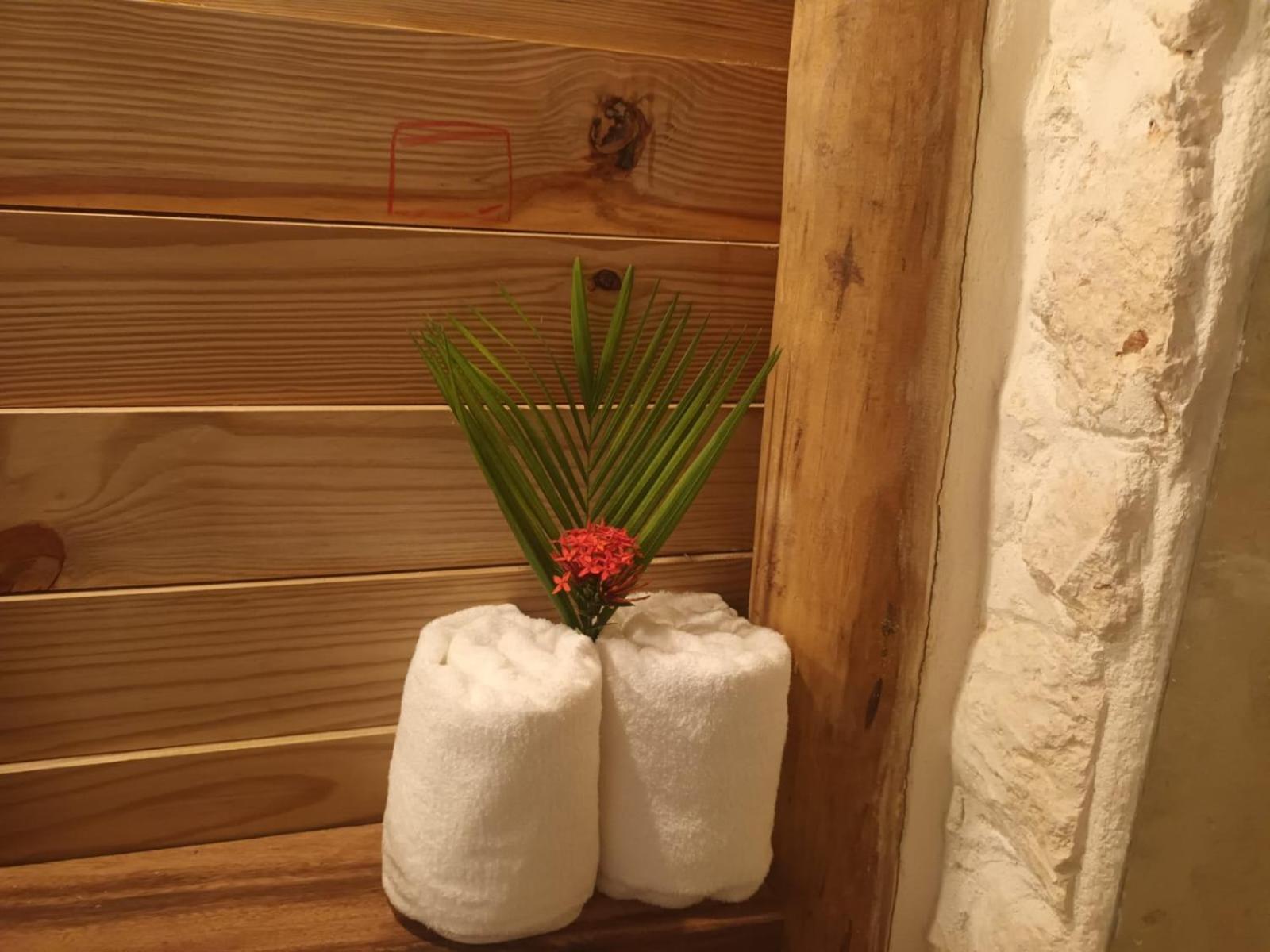 لاس تاريناس Samo Eco Lodge المظهر الخارجي الصورة
