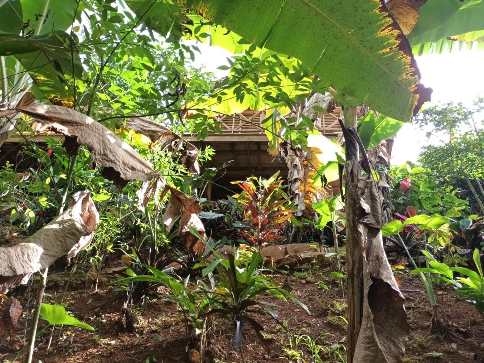لاس تاريناس Samo Eco Lodge المظهر الخارجي الصورة