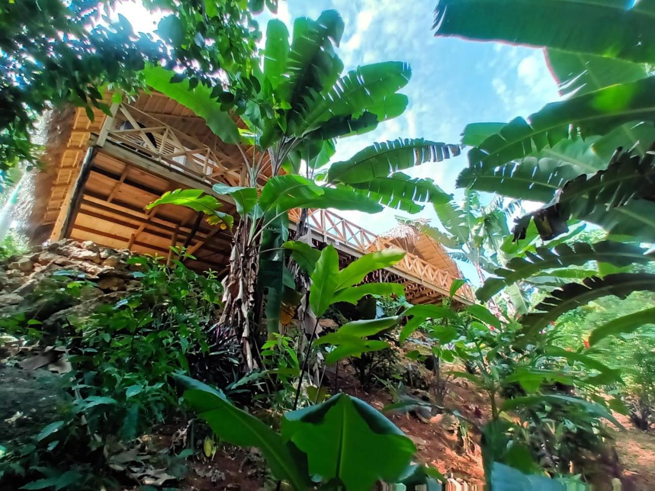 لاس تاريناس Samo Eco Lodge المظهر الخارجي الصورة