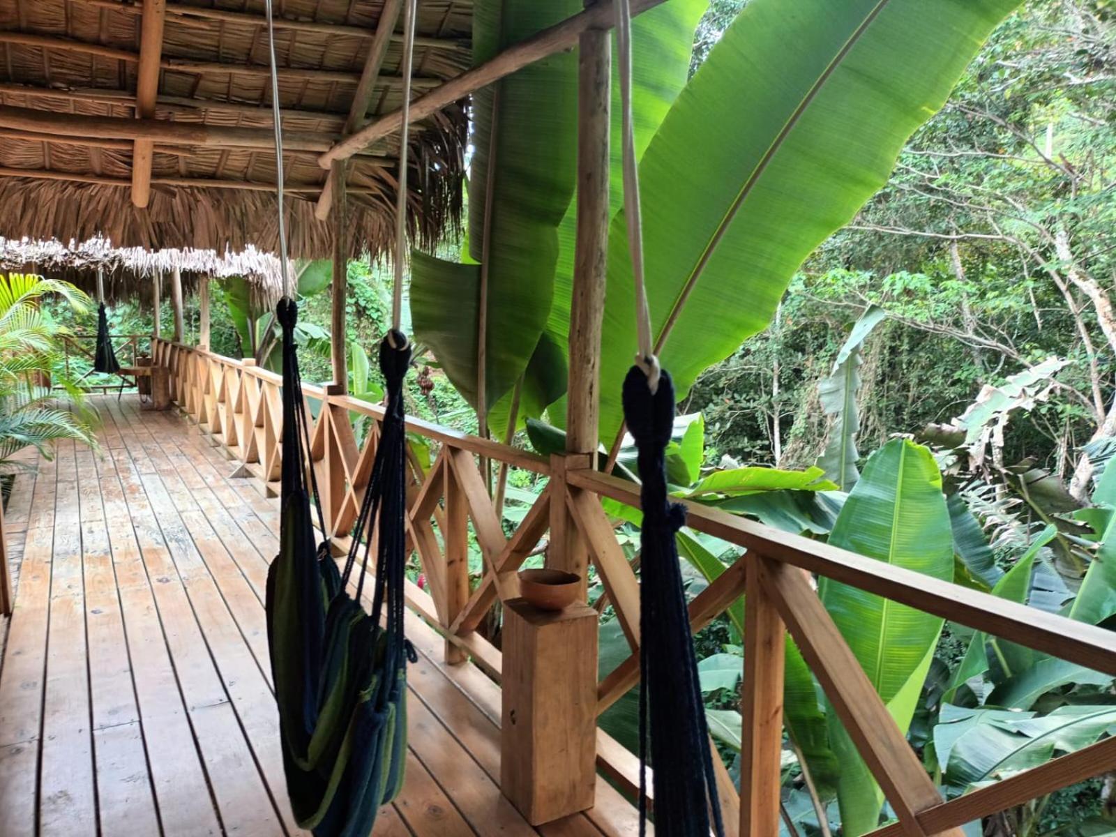 لاس تاريناس Samo Eco Lodge المظهر الخارجي الصورة